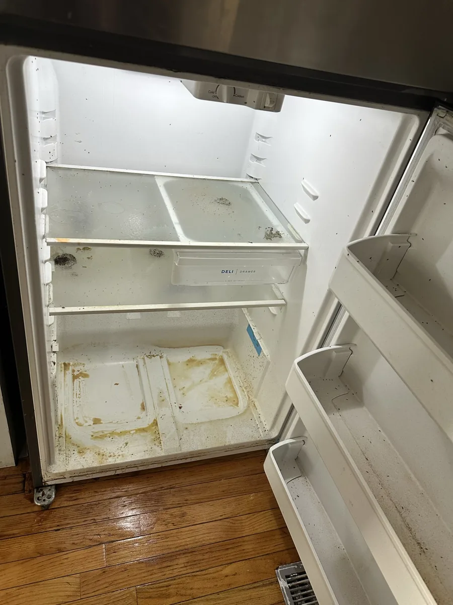 Fridge Before